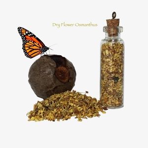Women’s Glass Vial ( Dry Flower Osmanthus )
